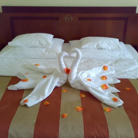 Hotel Hotel Villa Prague